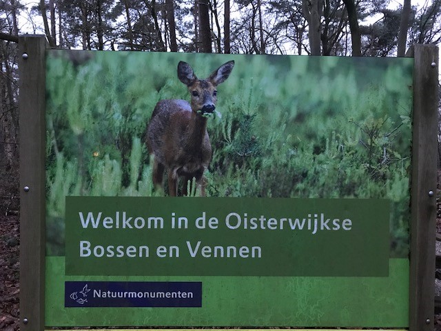 First slide